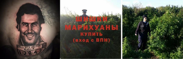 каннабис Дмитриев